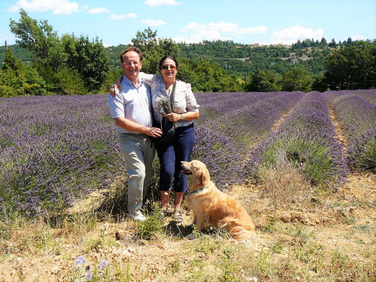 Bed and Breakfast Santolines En Provence Piolenc Exterior foto