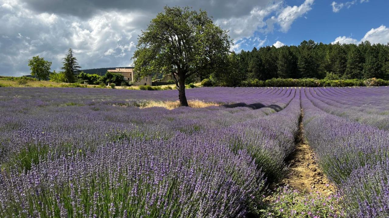 Bed and Breakfast Santolines En Provence Piolenc Exterior foto
