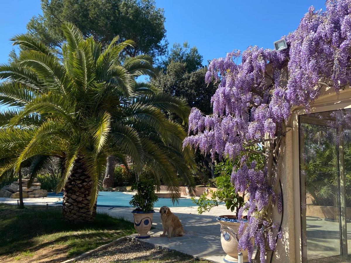 Bed and Breakfast Santolines En Provence Piolenc Exterior foto