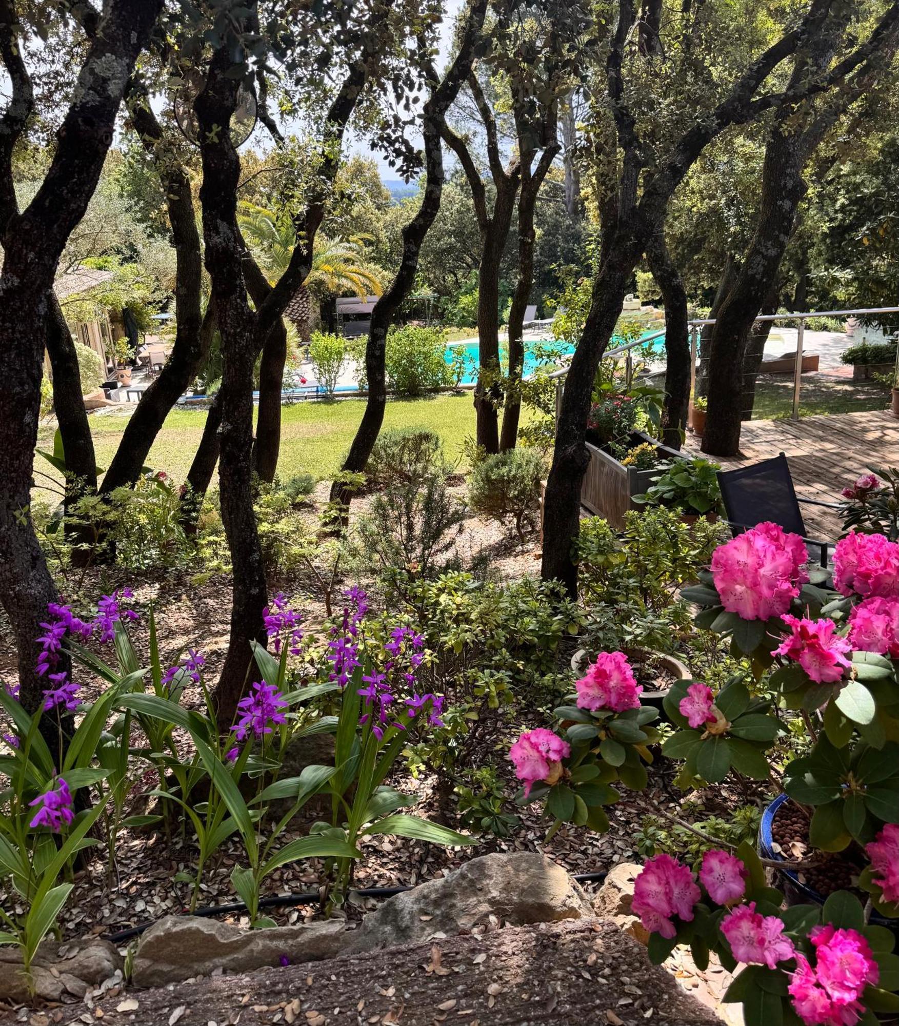 Bed and Breakfast Santolines En Provence Piolenc Exterior foto